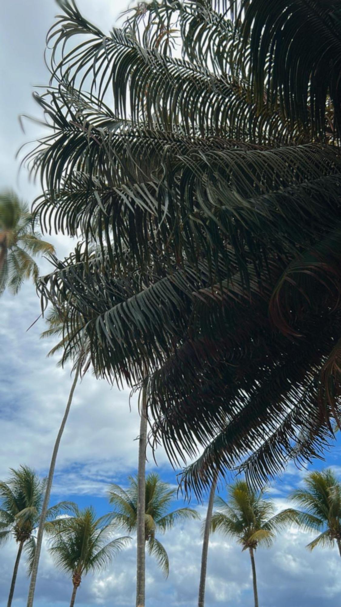 Pousada Villa Mar Porto Pôrto das Galinhas 외부 사진