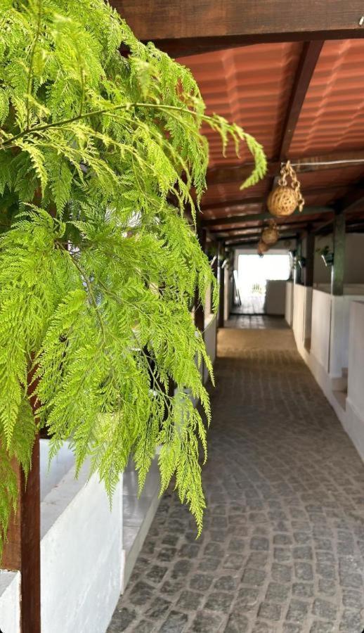 Pousada Villa Mar Porto Pôrto das Galinhas 외부 사진